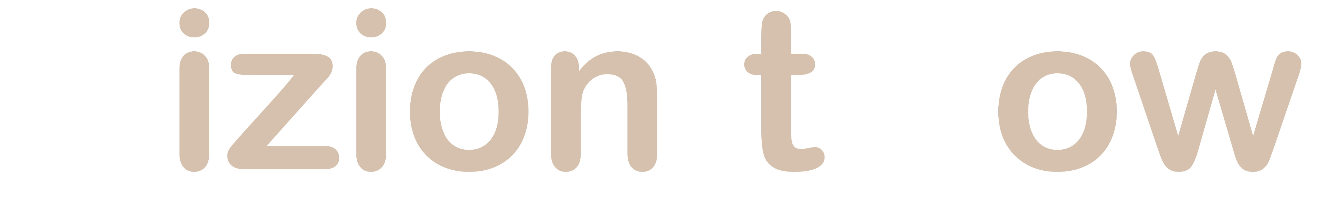 VizionItNow Logo